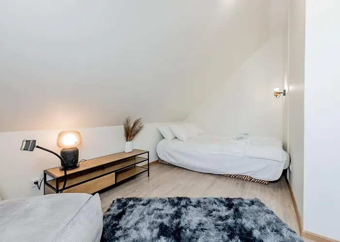 Joenrannalla, Historiaa Ja Modernia Mukavuutta Apartment Parnu